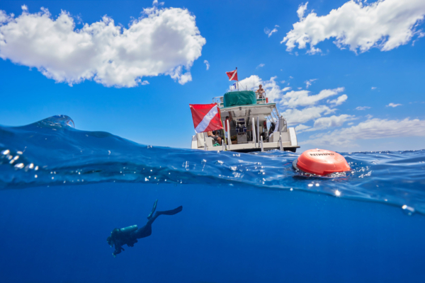 Scuba Diving Gamechanger? Garmin Smart Buoy Levels Up Safety With Underwater Comms