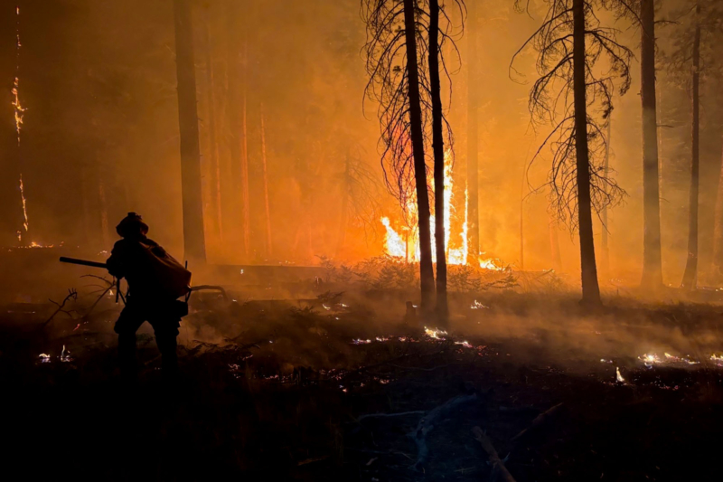 AZ Governor Calls For Investigation After Wildfires ‘Decimate’ Grand Canyon National Park