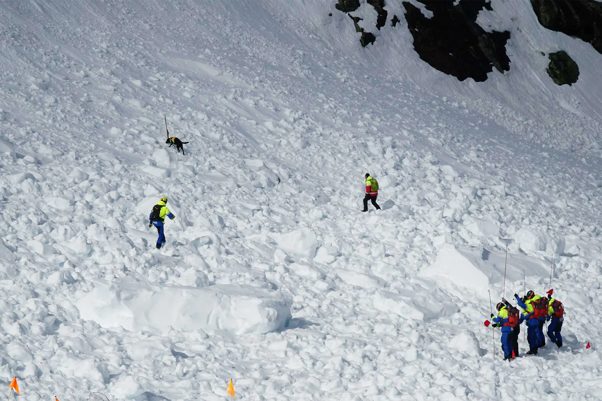 recco avalanche rescue