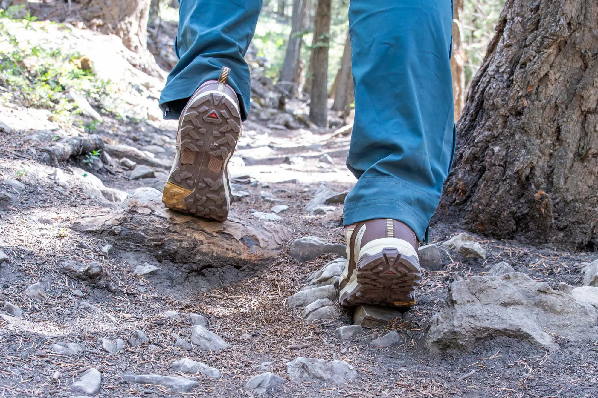 Salomon X Ultra 5 GTX soles