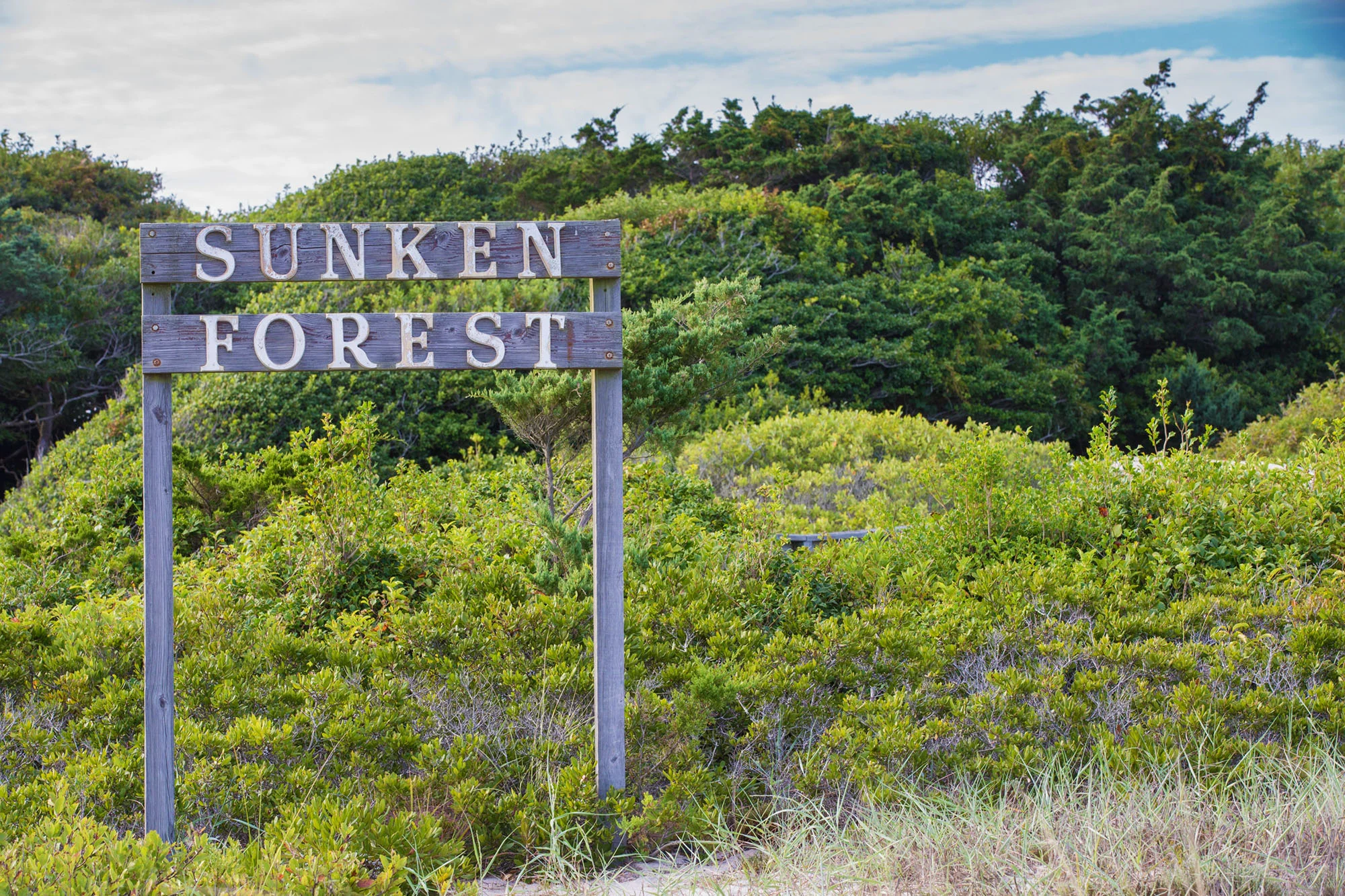 sunken fores sign at fire island national seashore