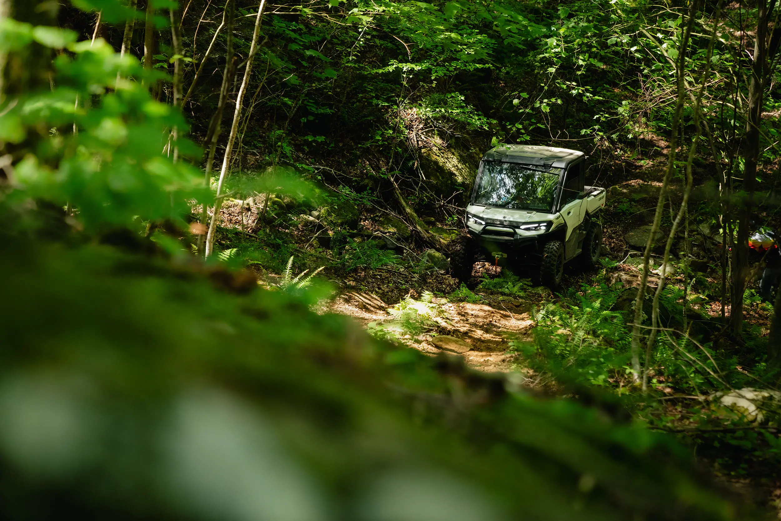 2026 Can-Am Defender Limited