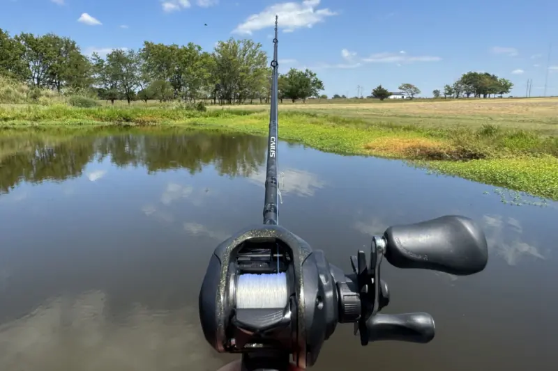 Shimano Caius Casting Combo Nails Power, Control, and All-Day Comfort