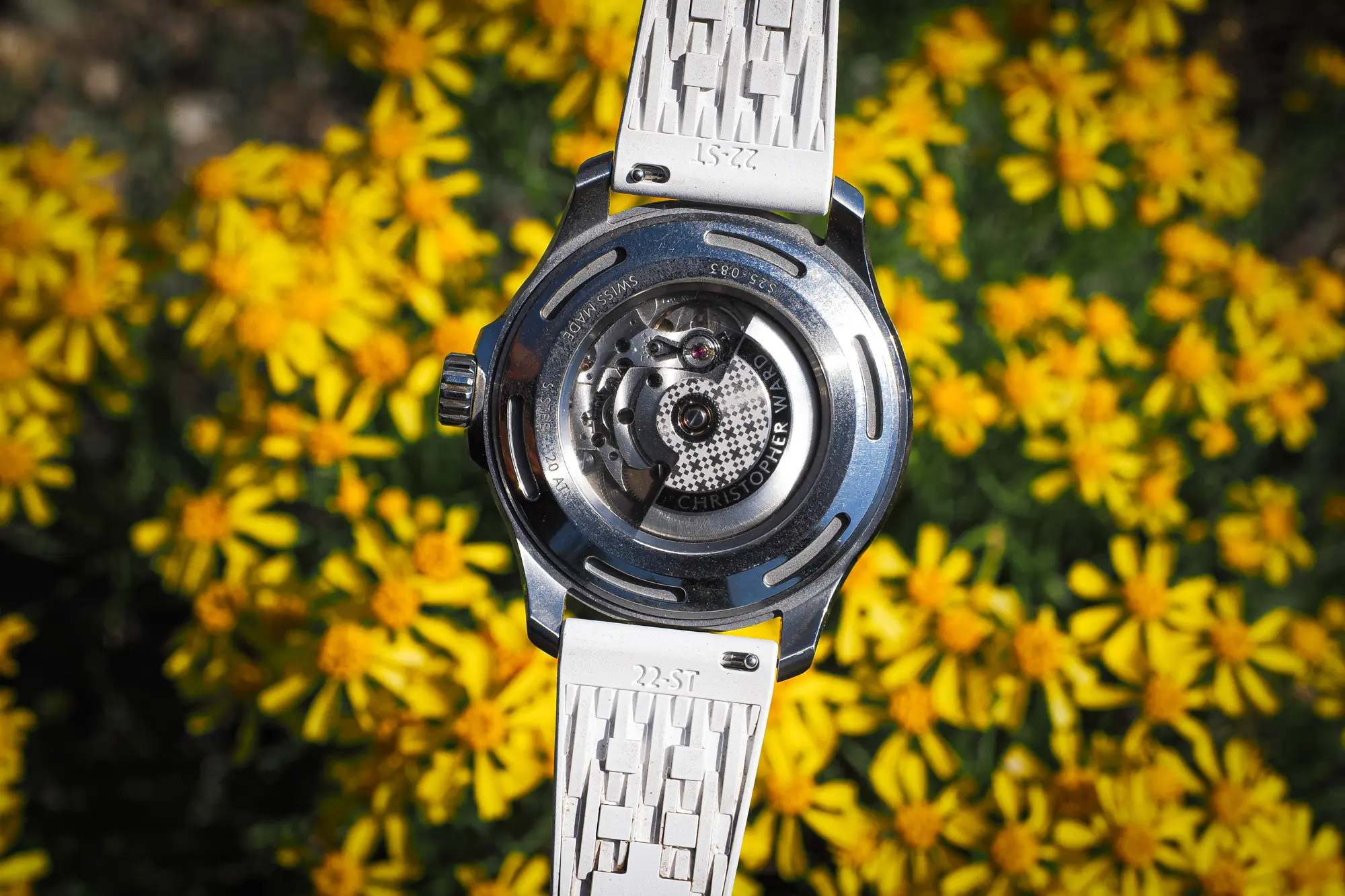 Christpher Ward Trident Reef display case