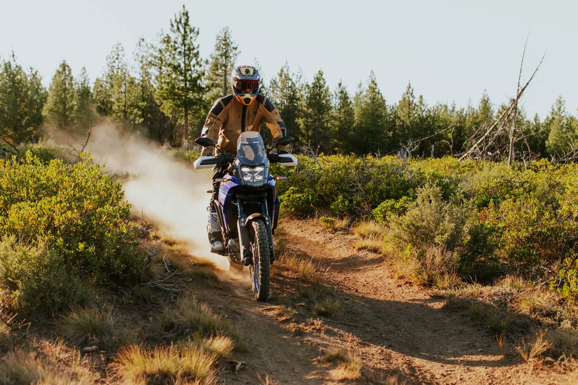 2025 Yamaha Tenere 700