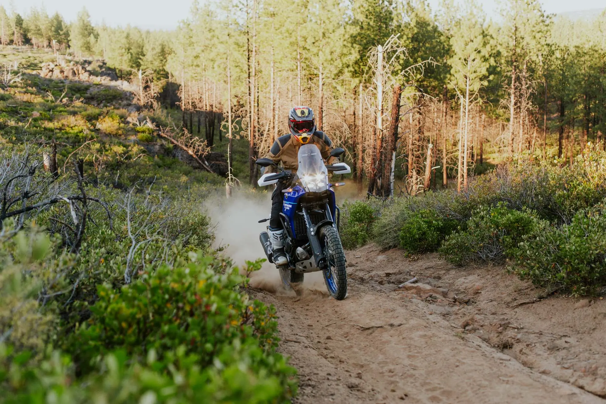 2025 Yamaha Tenere 700