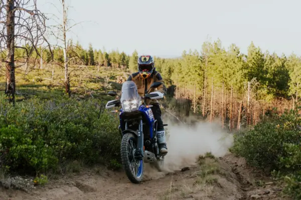 So Good I’m Replacing My Dual Sport: 2025 Yamaha Ténéré 700 Review