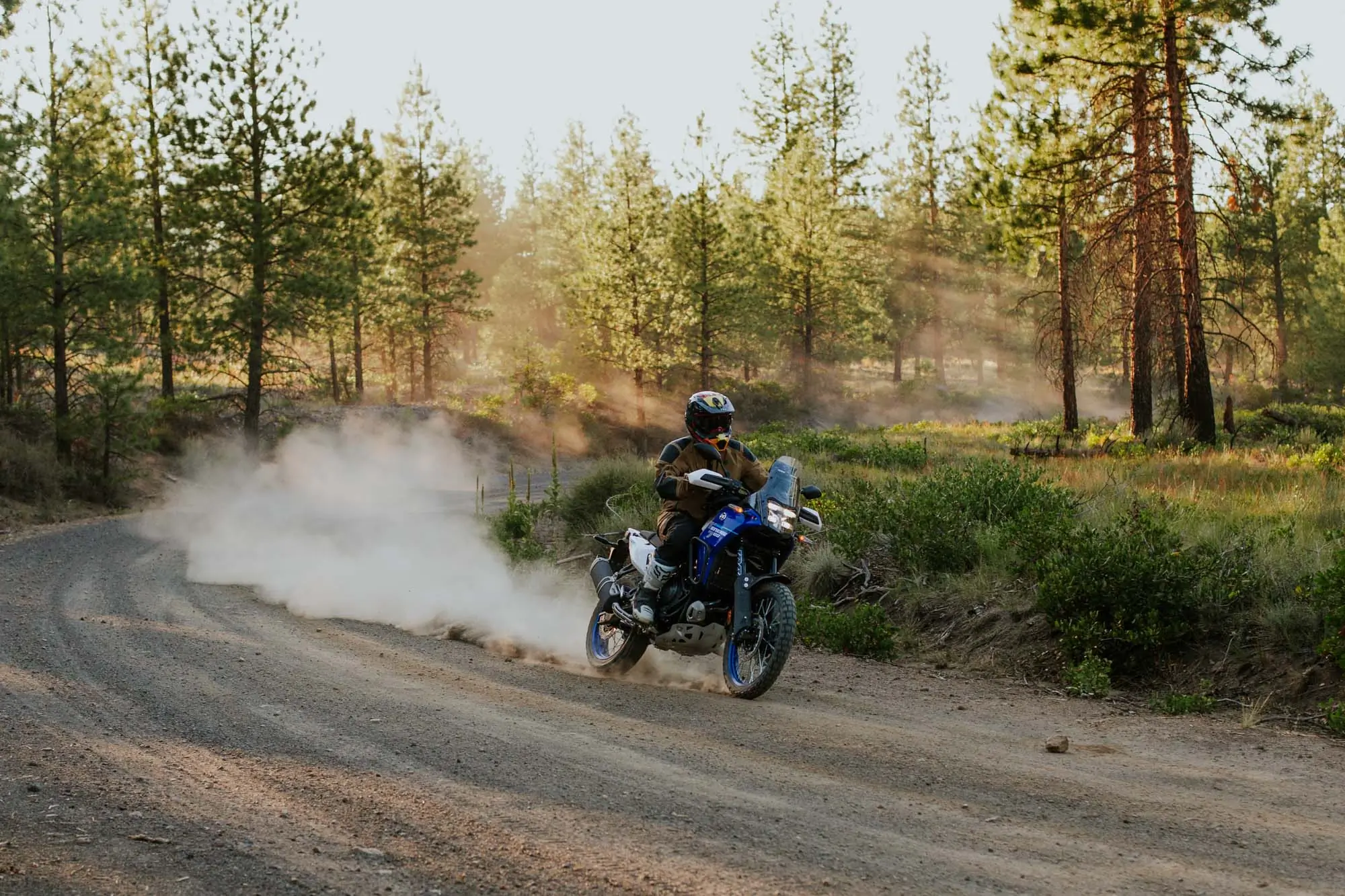 2025 Yamaha Tenere 700