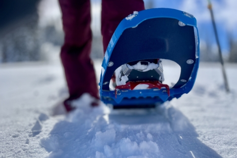 Shoes Snow Racket Hiking The Best Snowshoes Of 2025 GearJunkie Tested