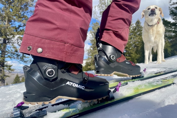 best backcountry skis