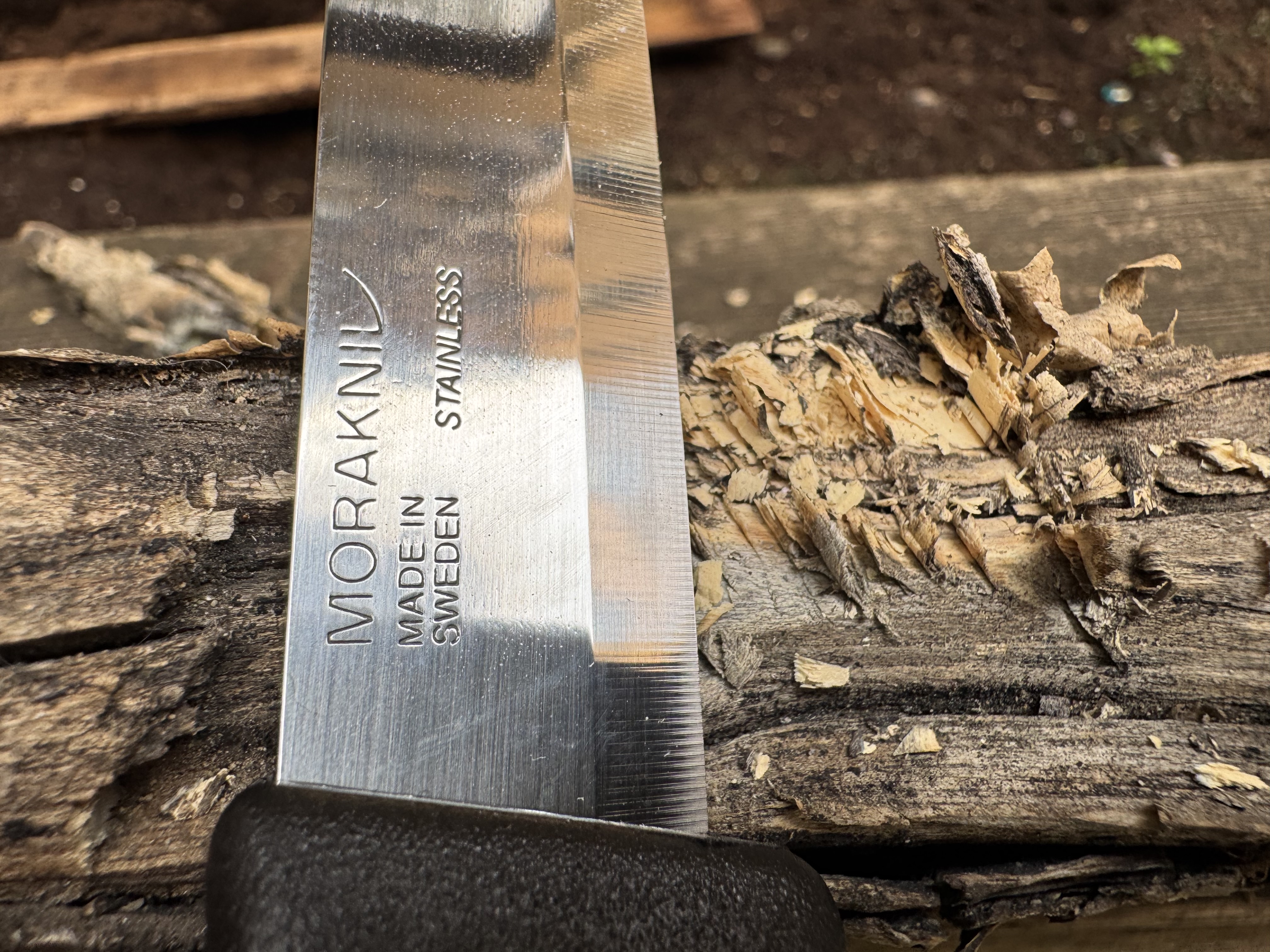Close-up of a Morakniv Companion knife next to a piece of food that has feathered into kindling for a fire