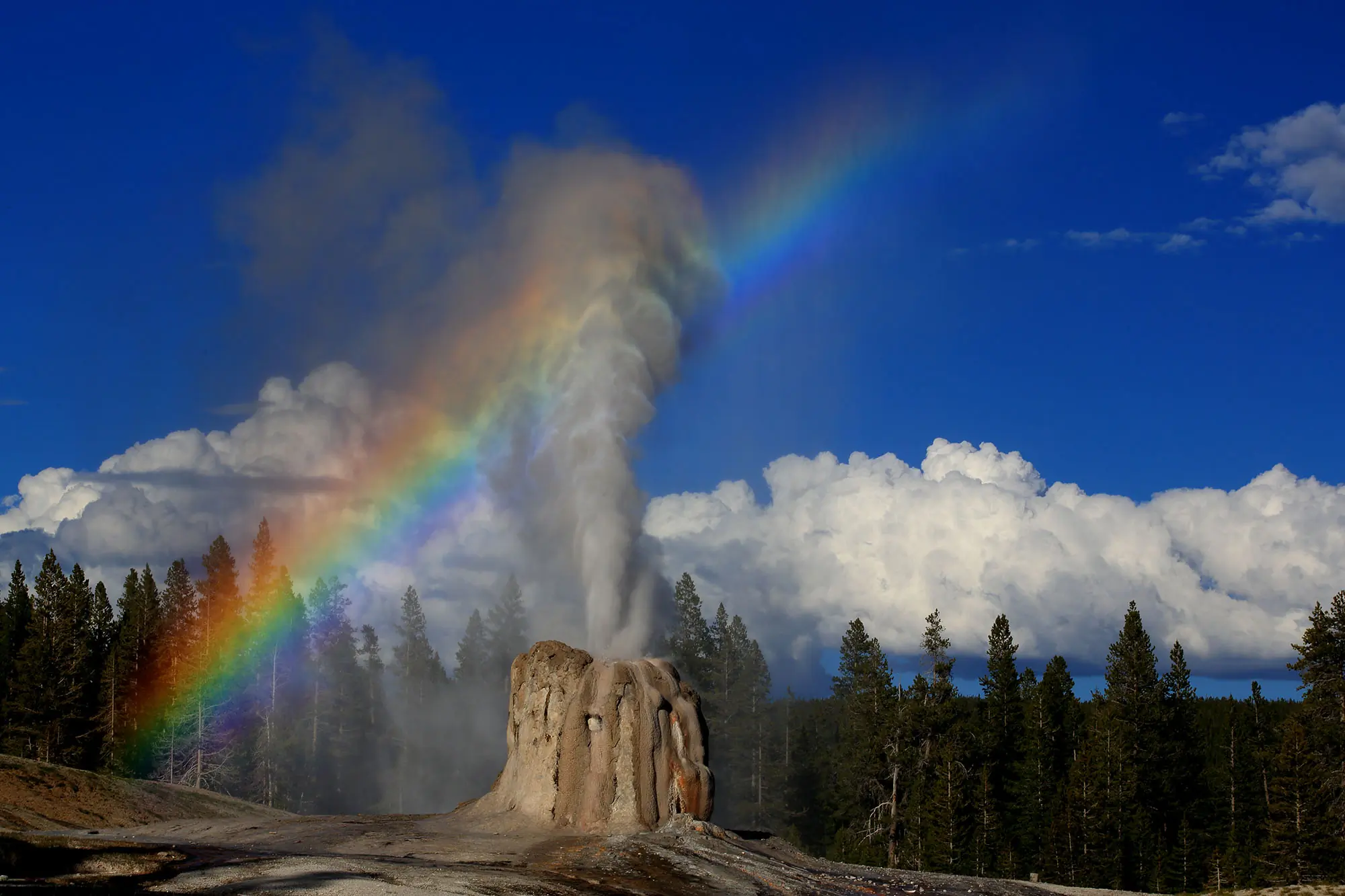 Lone Star Geyser