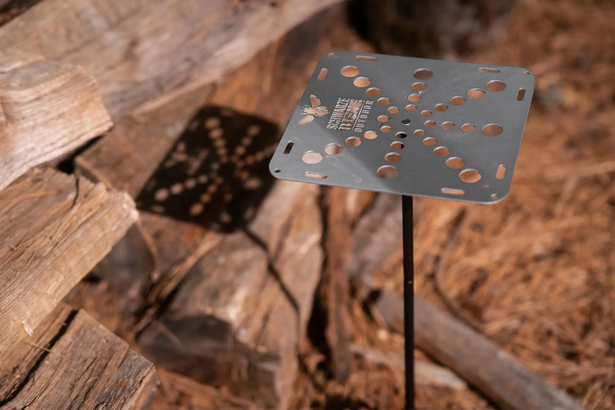 Schwarze Biene Big Mama and shadow