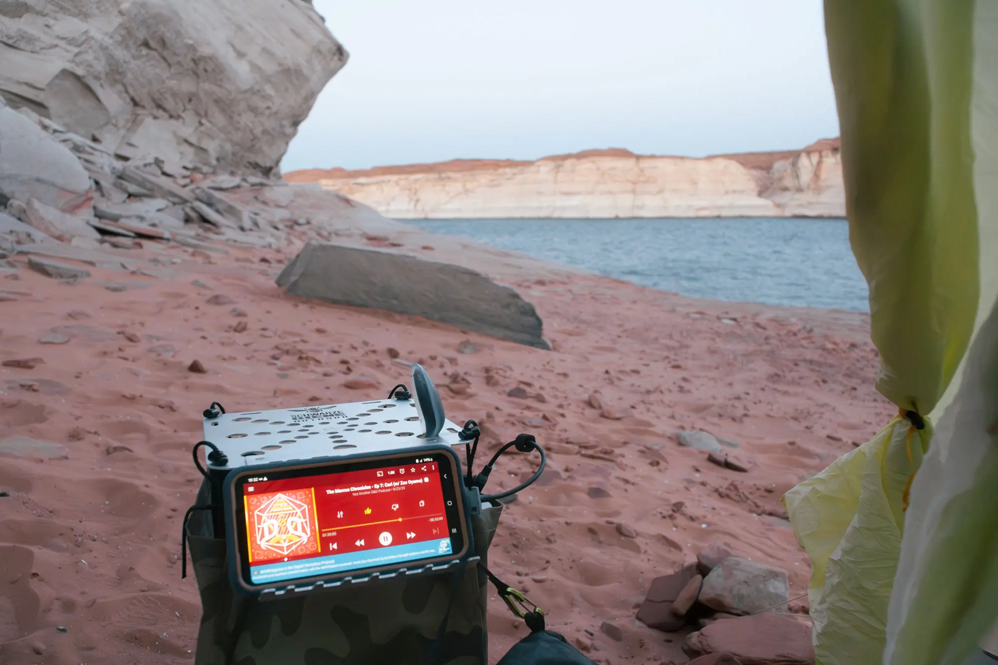 Schwarze Biene Big Mama holder