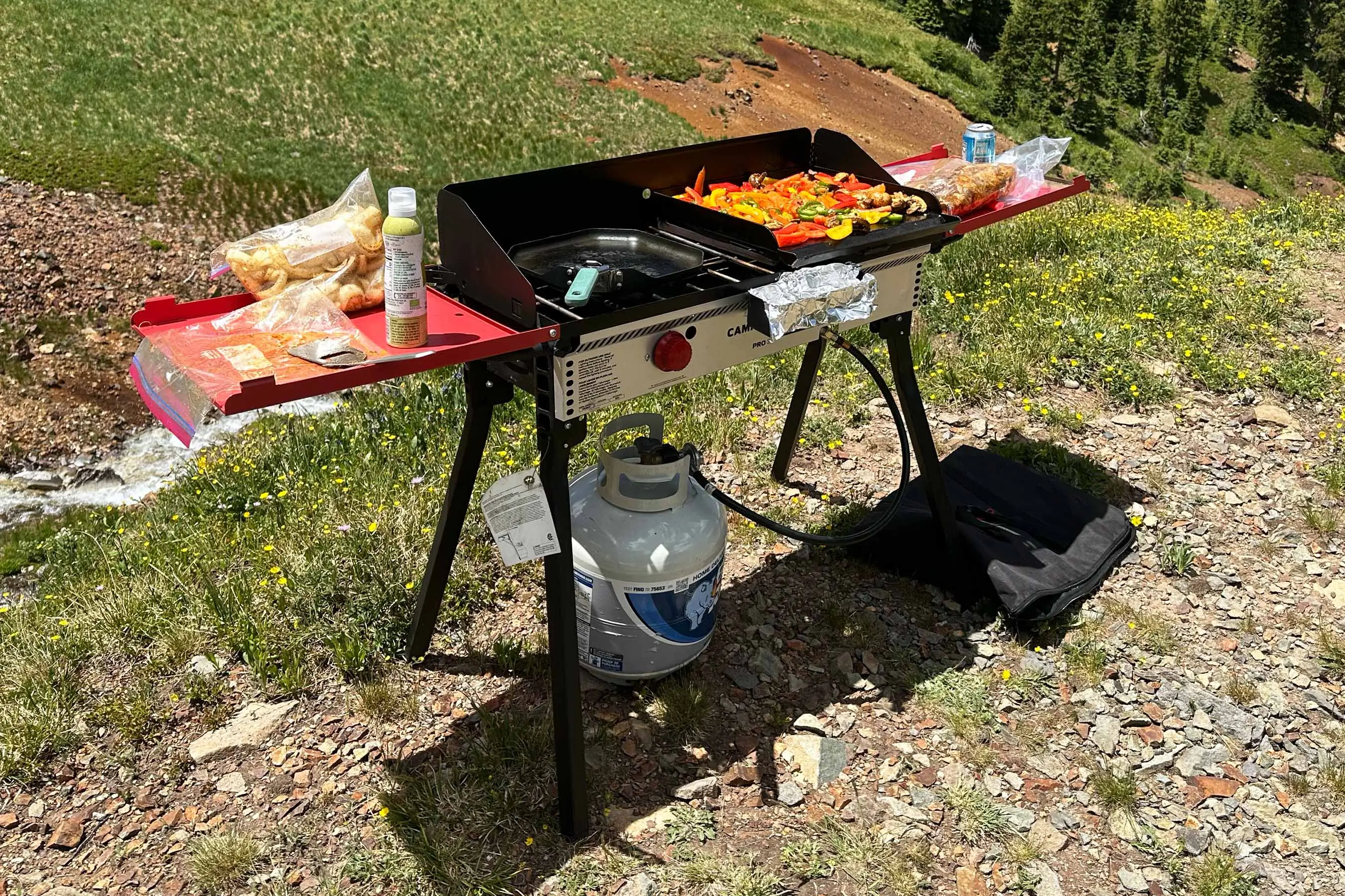 Camp Chef Pro 14 grill stove