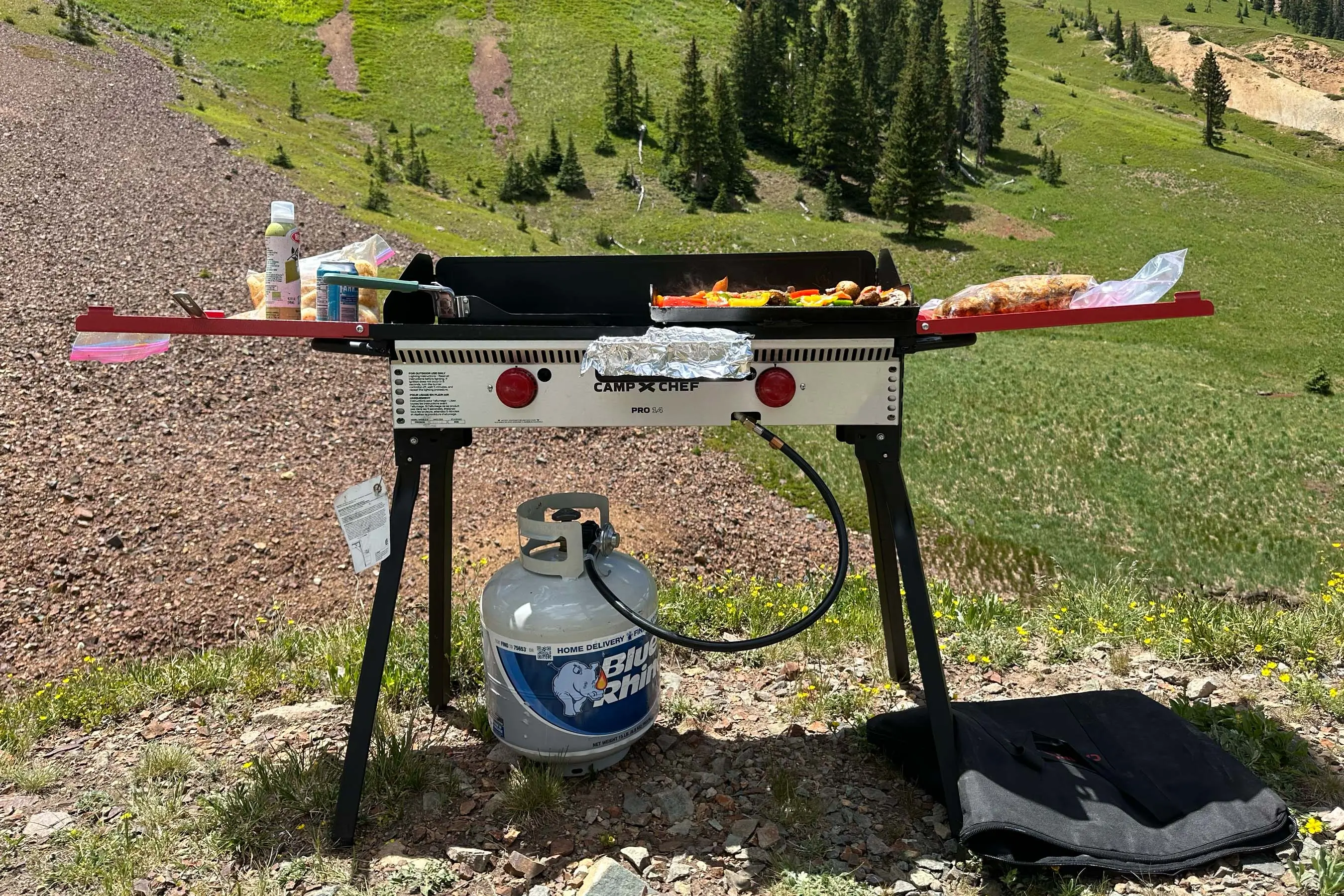 Camp Chef Pro 14 grill stove