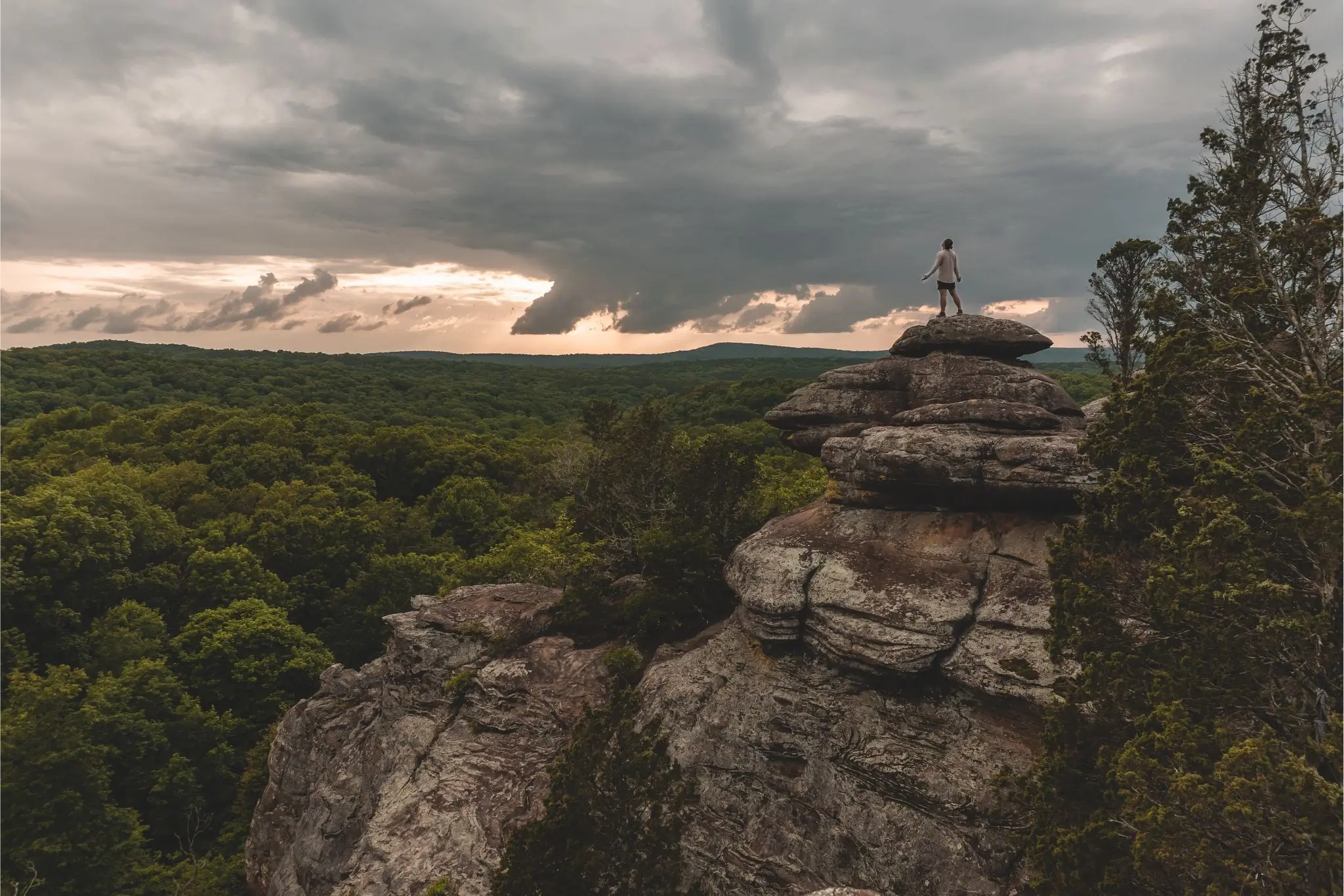 Person stands on rock with grey sky above and forest below.