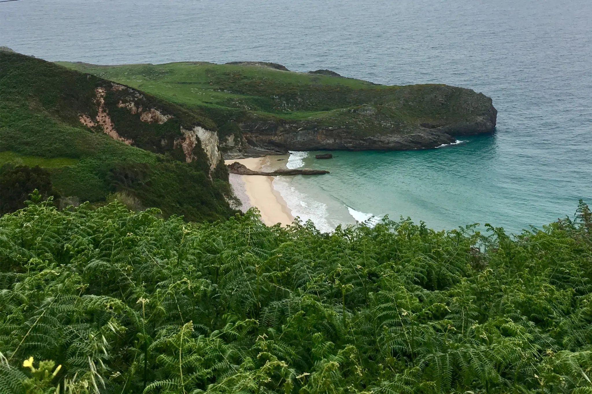view of ocean and beach among a forest