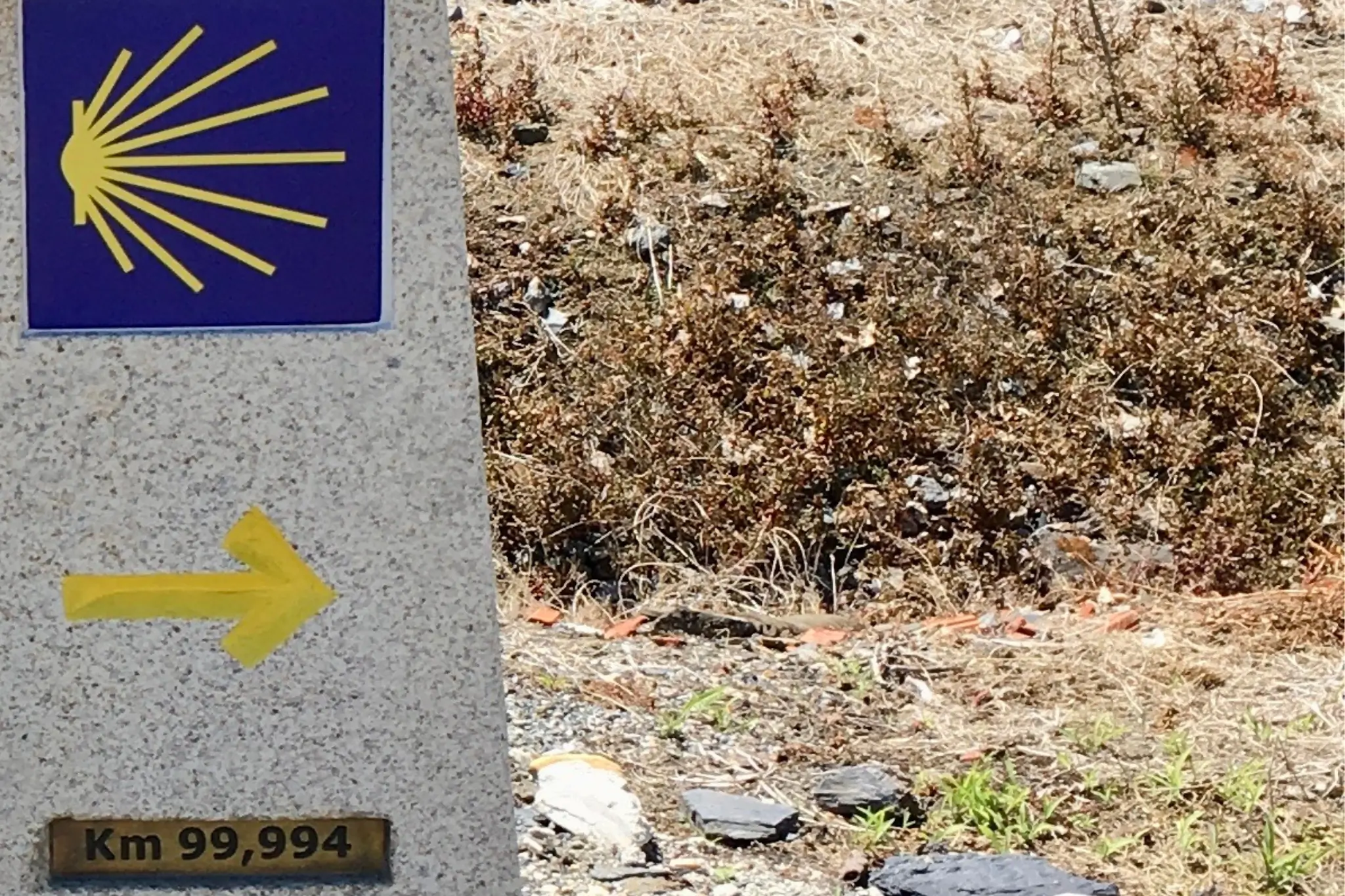 Close up shot of blue and yellow sign with a shell and an arrow