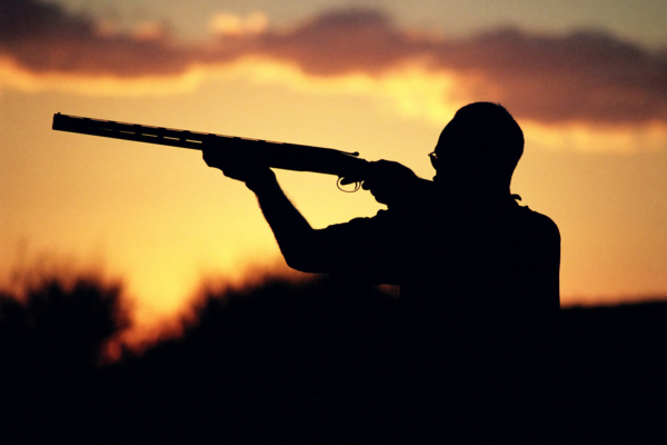 ‘Numerous and Severe’ Illegal Hunting Practices Land Outfitter in Jail