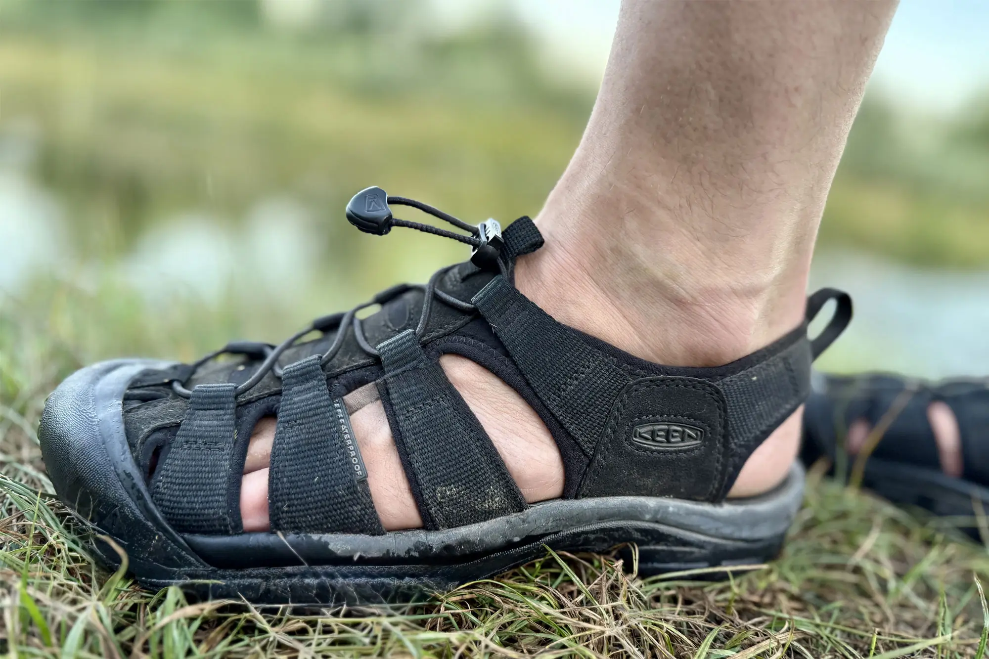 keen newport h2 sandal review
