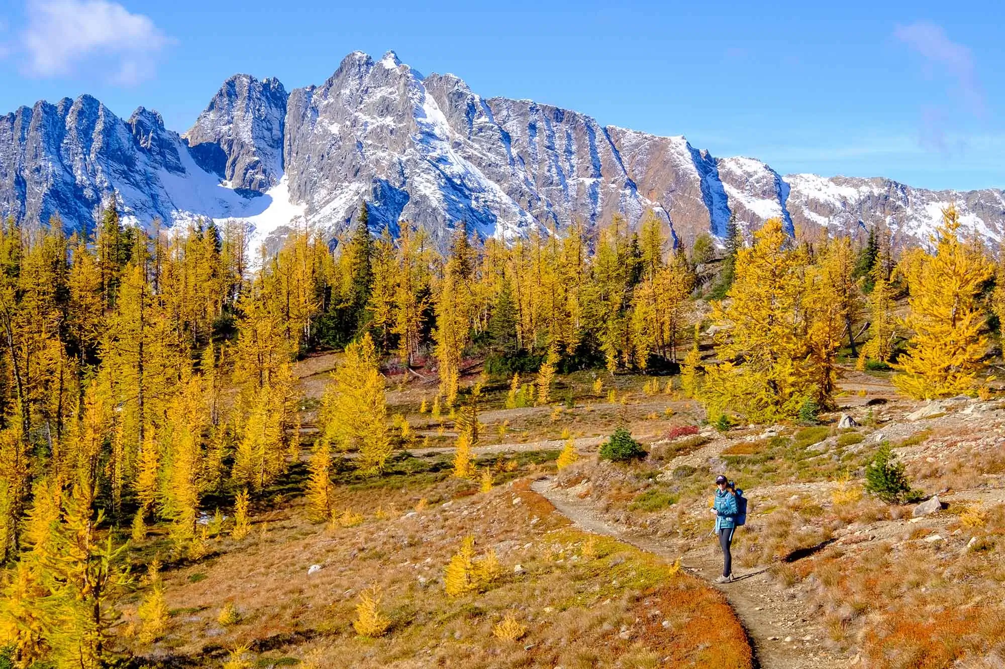 A,Woman,Hikes,Through,A,Forest,Of,Fall,Color,And