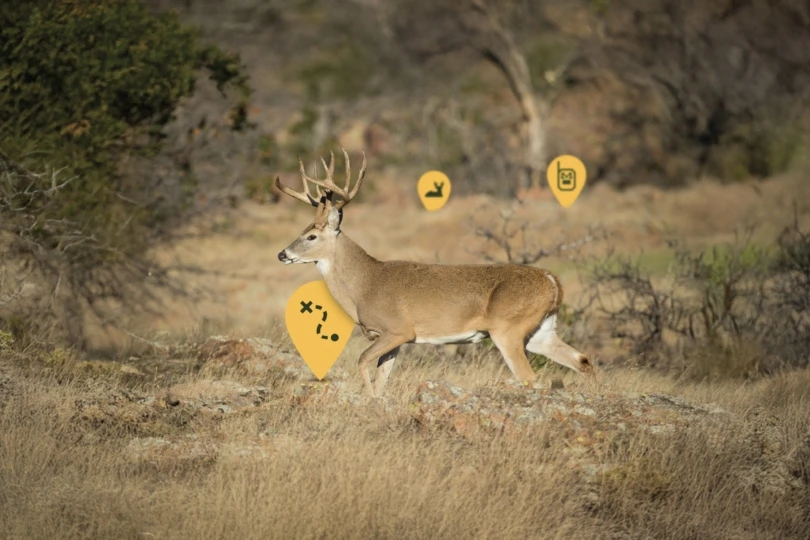 How to Level Up Your Hunting Game This Season