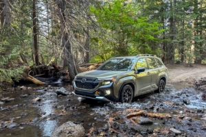 2026 Subaru Forester Wilderness