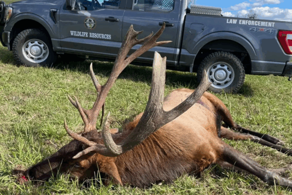 Boone & Crockett’s ‘Poach & Pay’ Takes Aim at Poaching