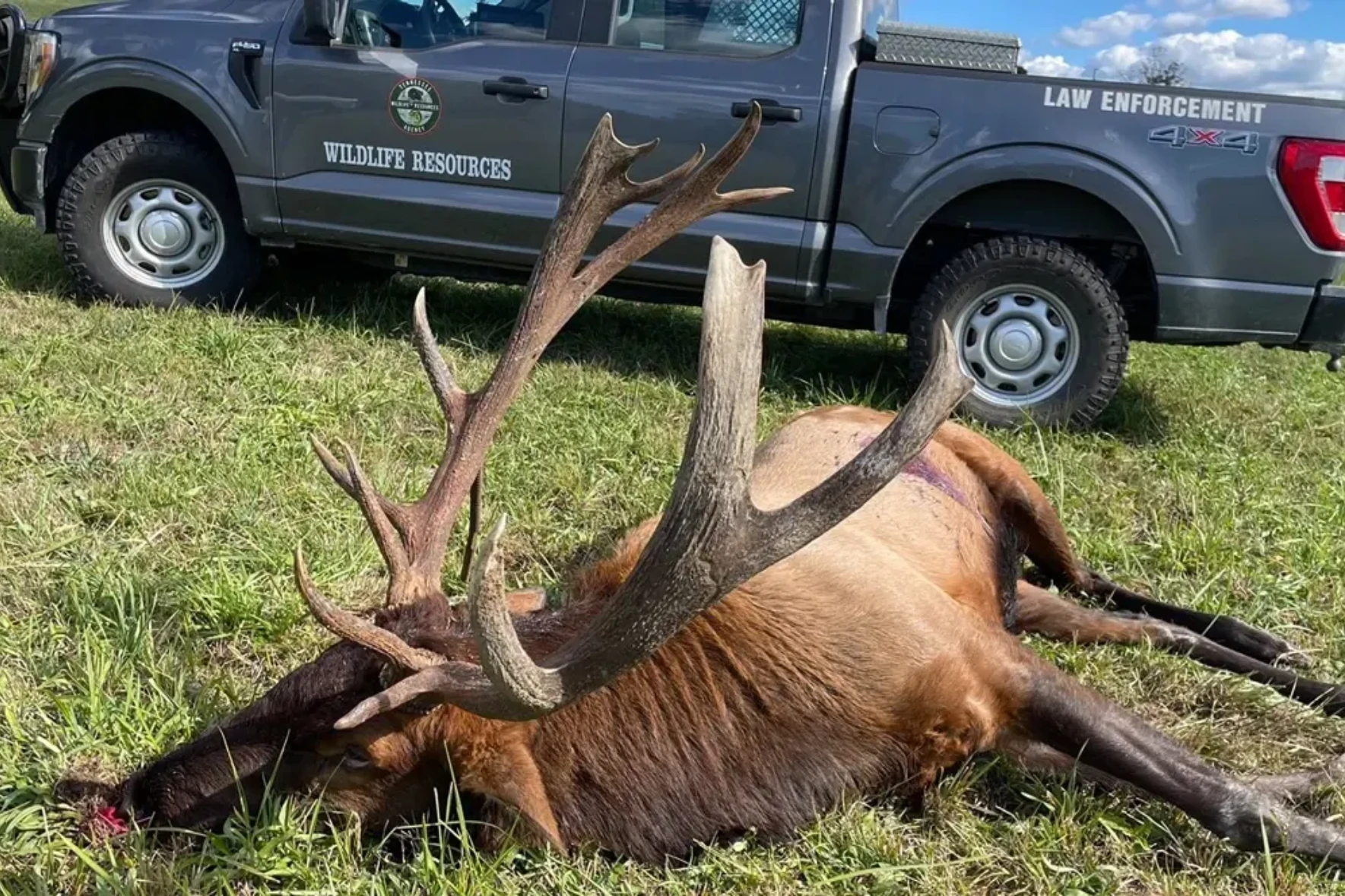 Boone & Crockett’s ‘Poach & Pay’ Takes Aim at Poaching