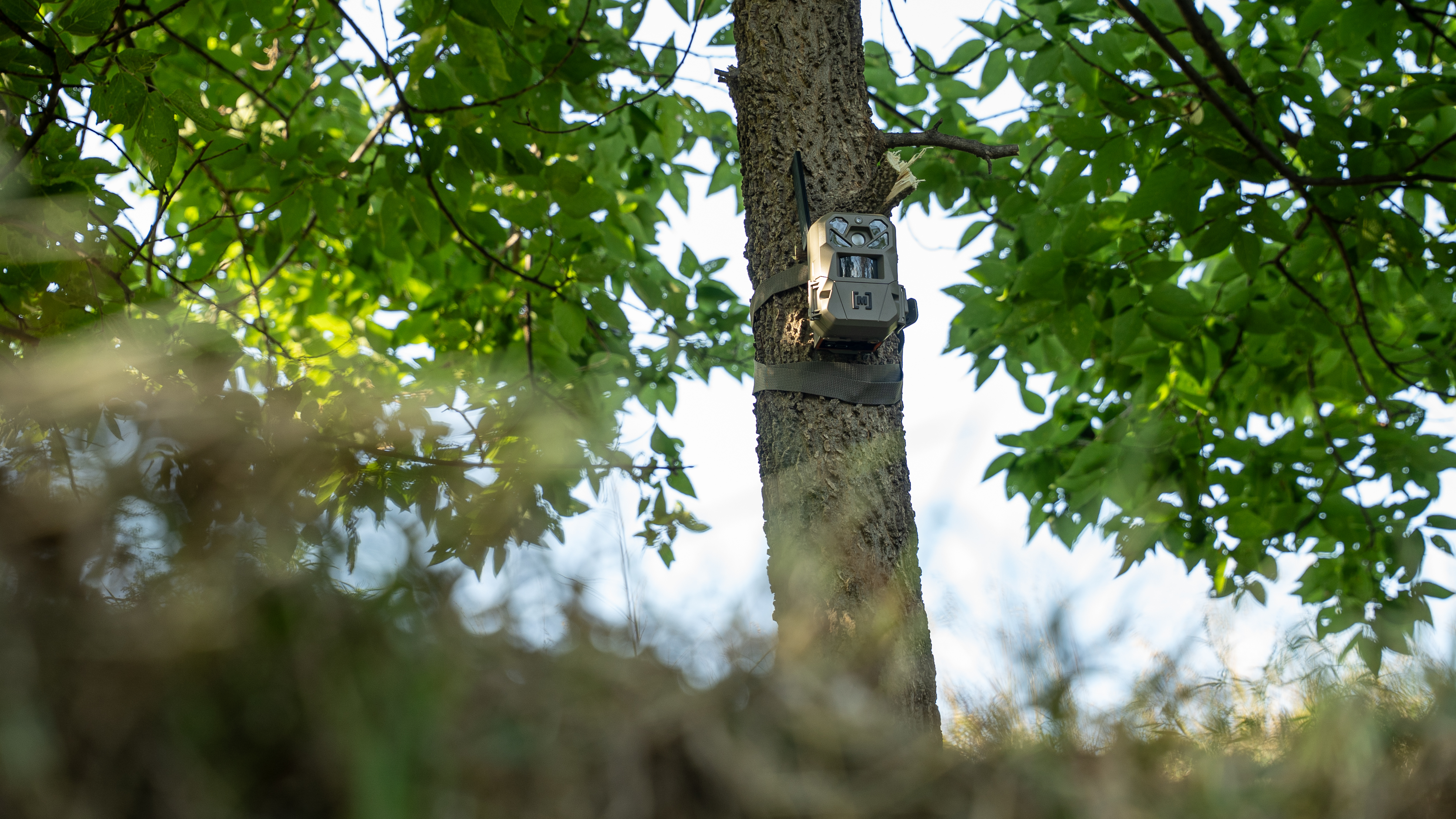 Moultrie Edge 3 Pro