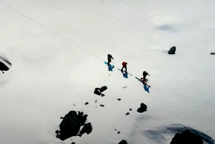 tracking wolvarines on ski