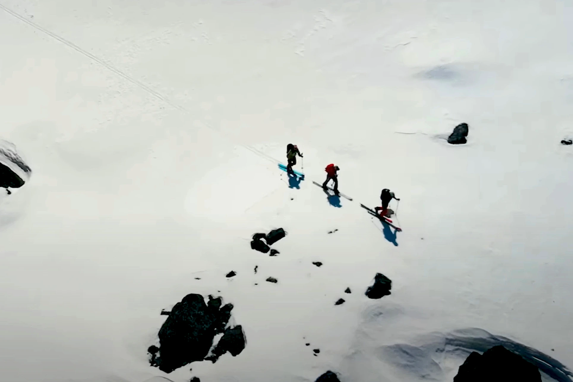 Tracking Wolverines on Skis: See How Activists Study These Ferocious Fur Balls & Climate Change