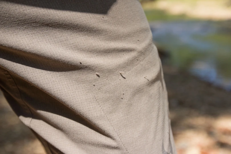 Tufts of fabric on a pair of pants.