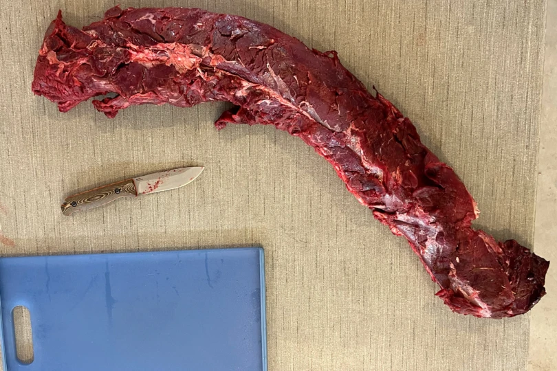 Benchmade saddle mountain skinner and elk backstrap