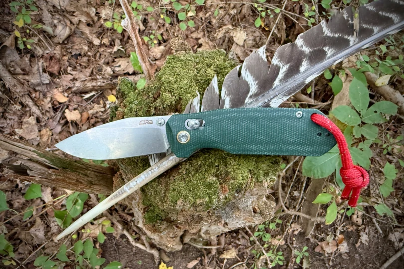 CJRB Maximal resting on moss with a feather