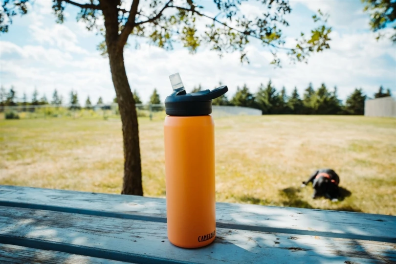 best insulated water bottles