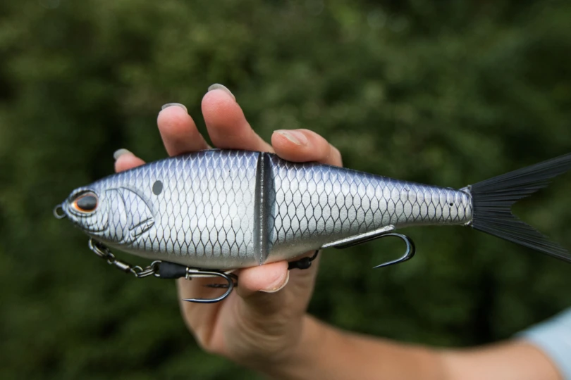 A large swimbait in someones hand
