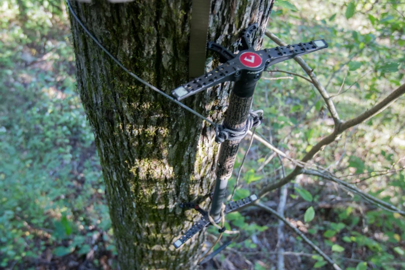 A climbing stick attached to a tree.
