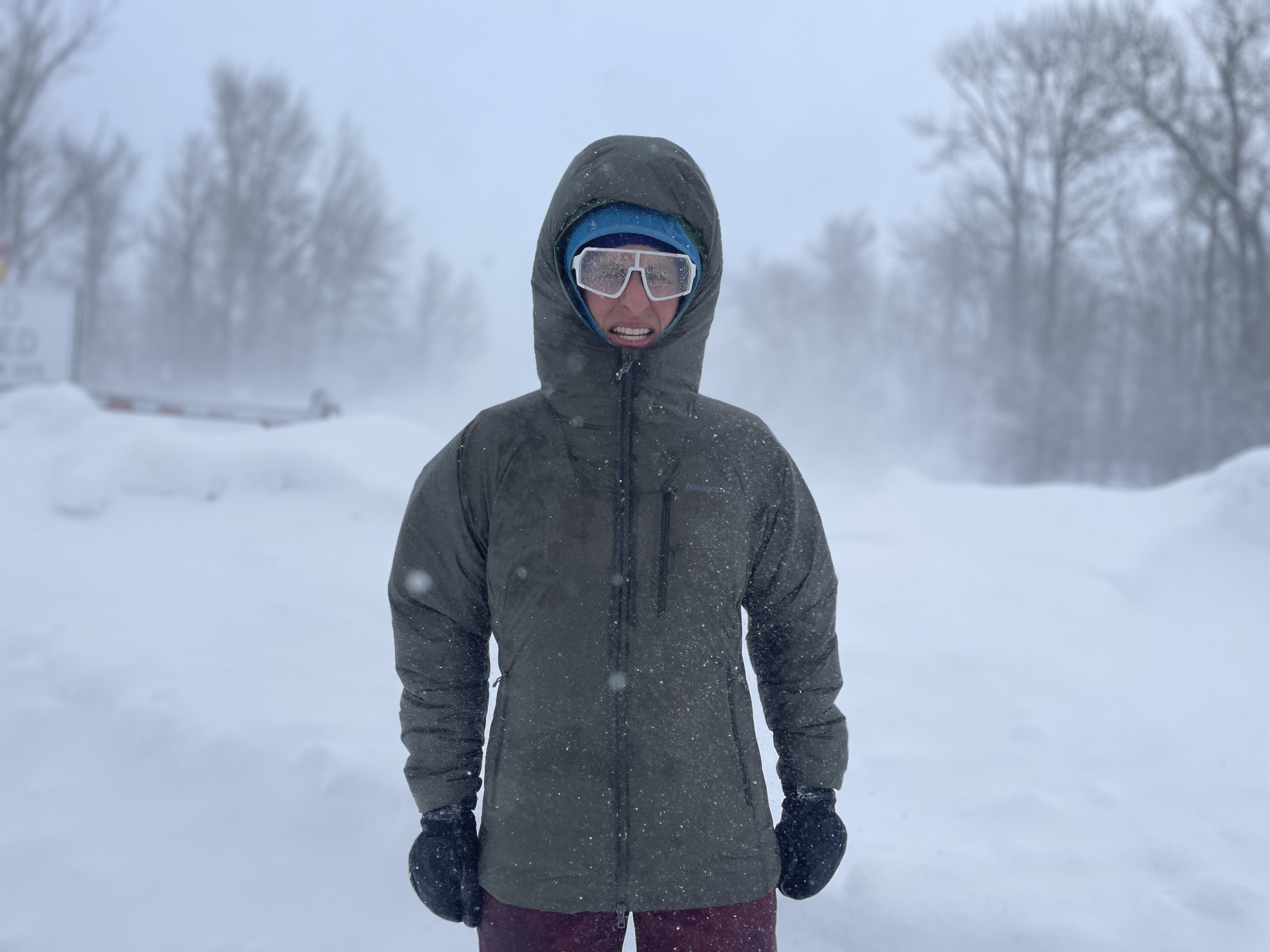 Patagonia DAS Light Hoody