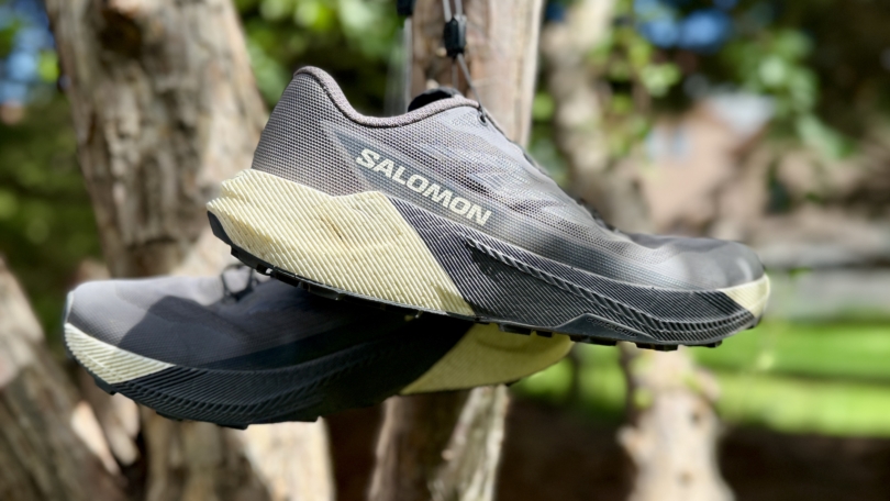 Salomon Pulsar