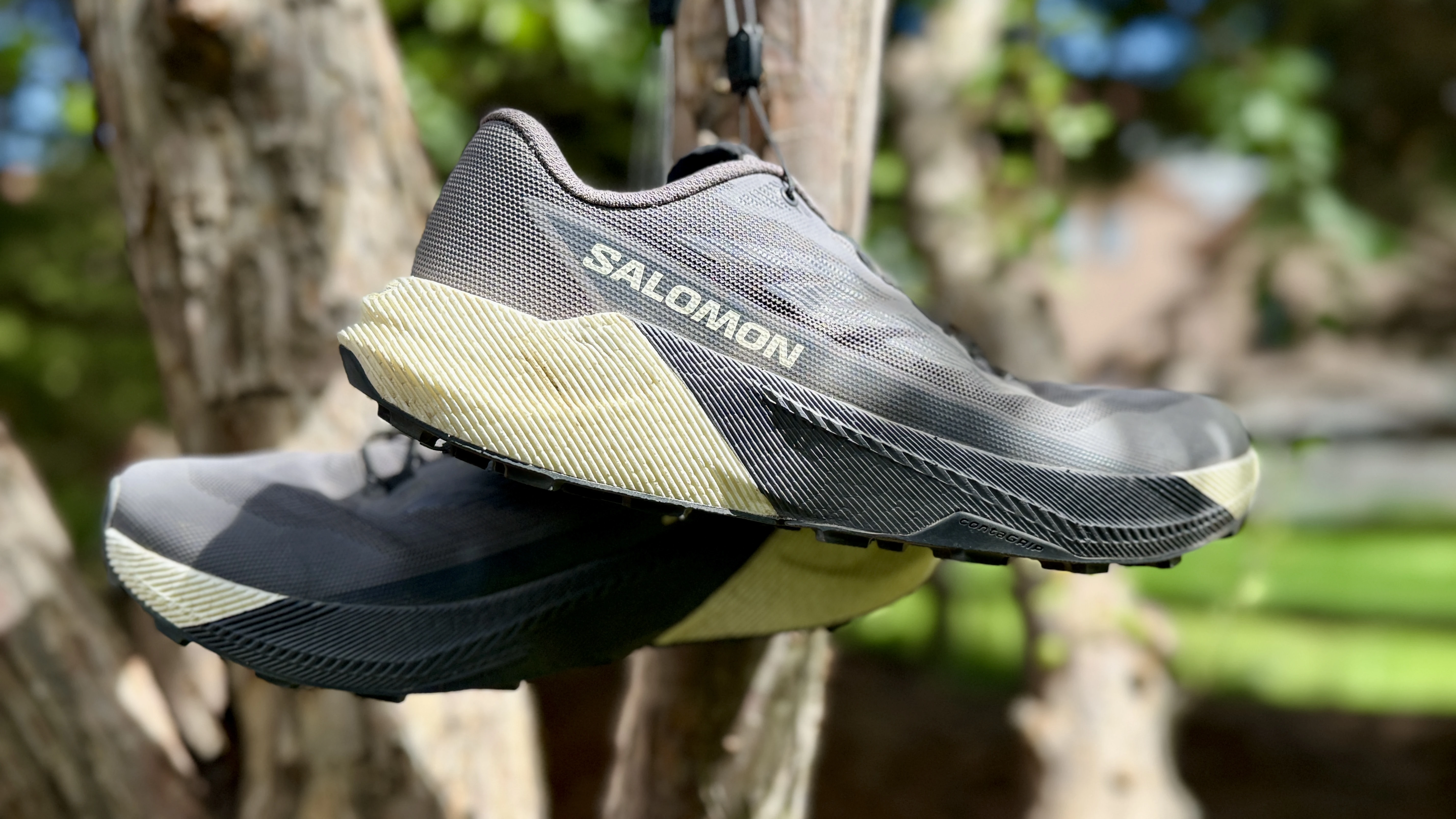 Trail Shoes for Every Season: Danner Trail 2650 Campo and