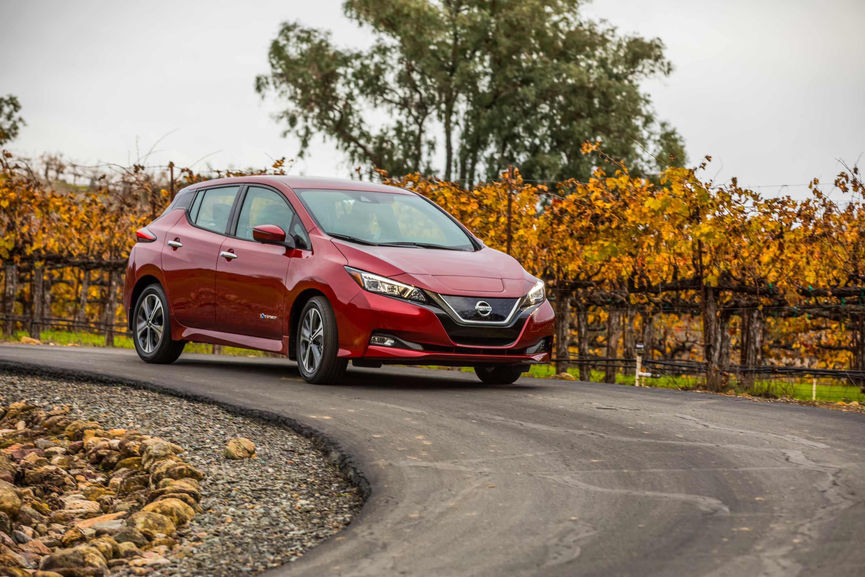2018 Nissan LEAF