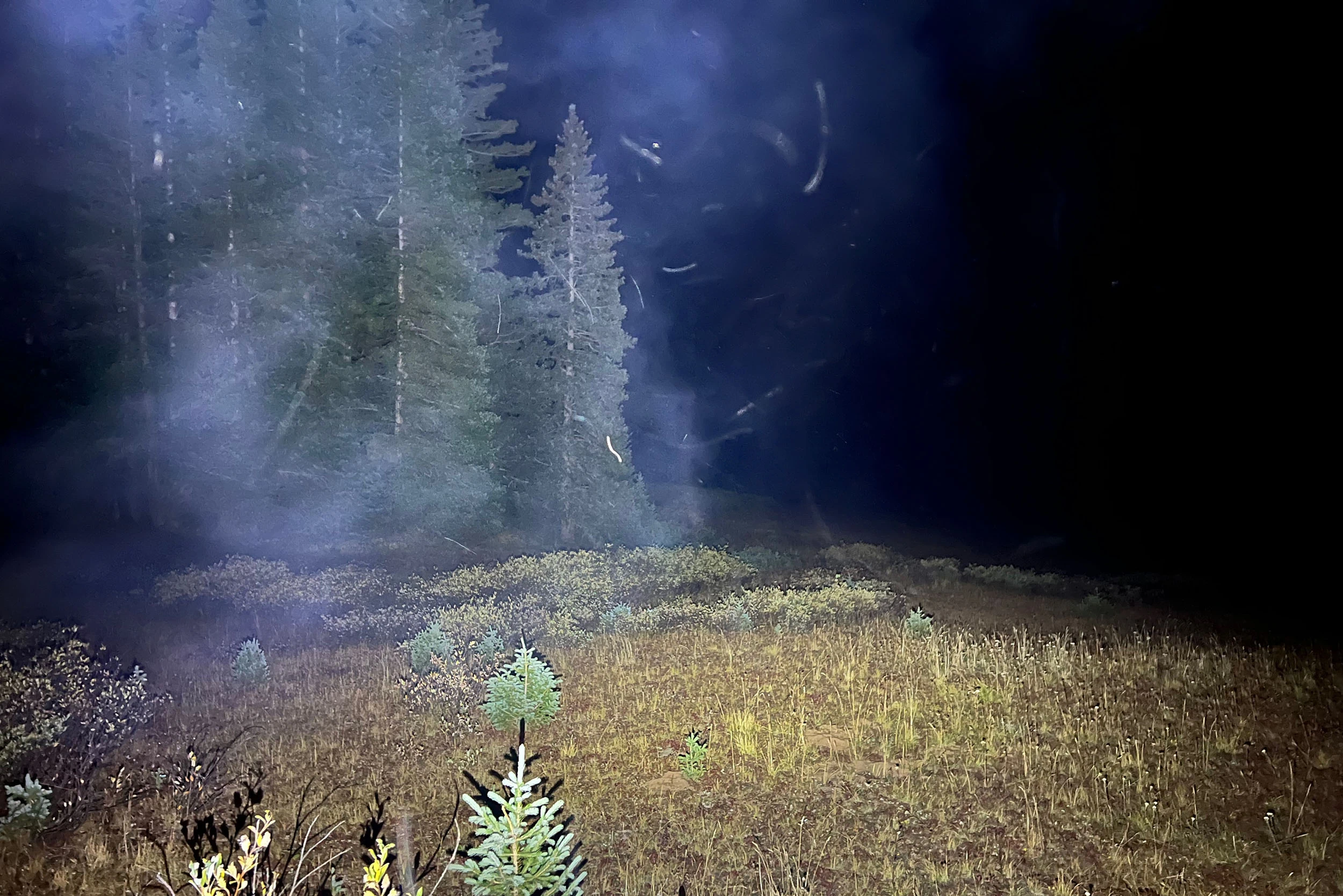 Olight ArkPro pure flood