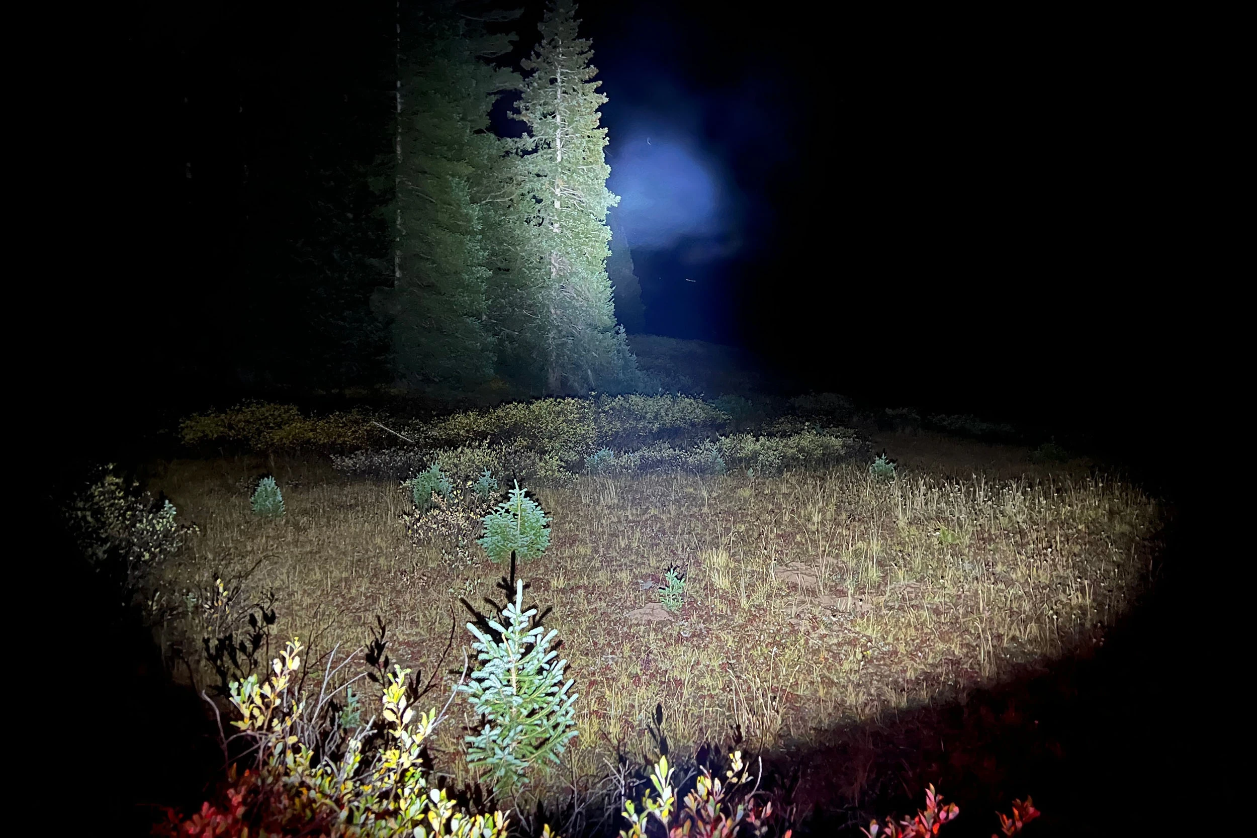 Olight ArkPro spotlight