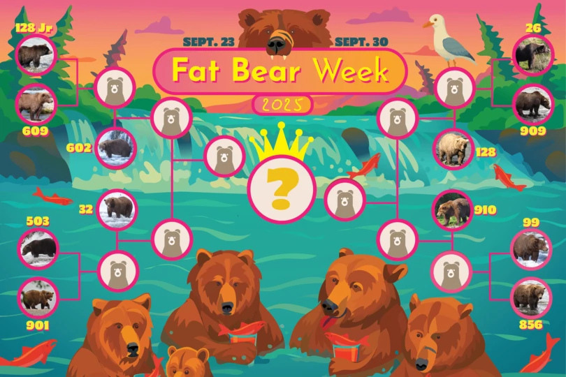 Fat Bear Week 2025