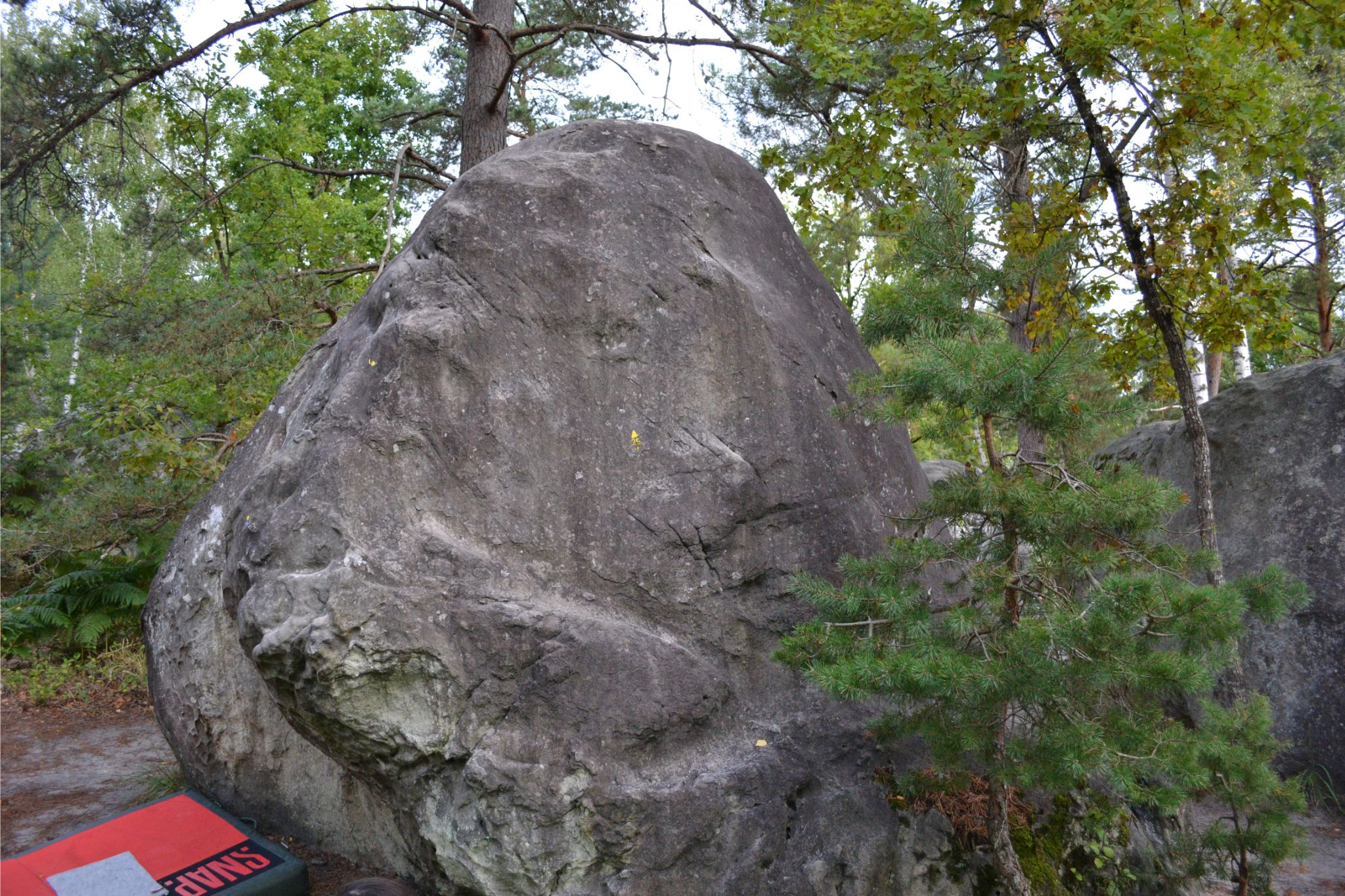 boulder in woods with crash pad