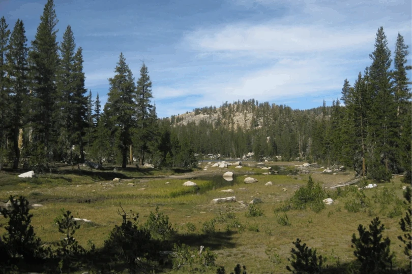 Green meadow with trees and lake in distance.