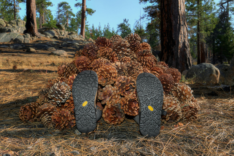 person's shoes sticking out from under pile of pinecones