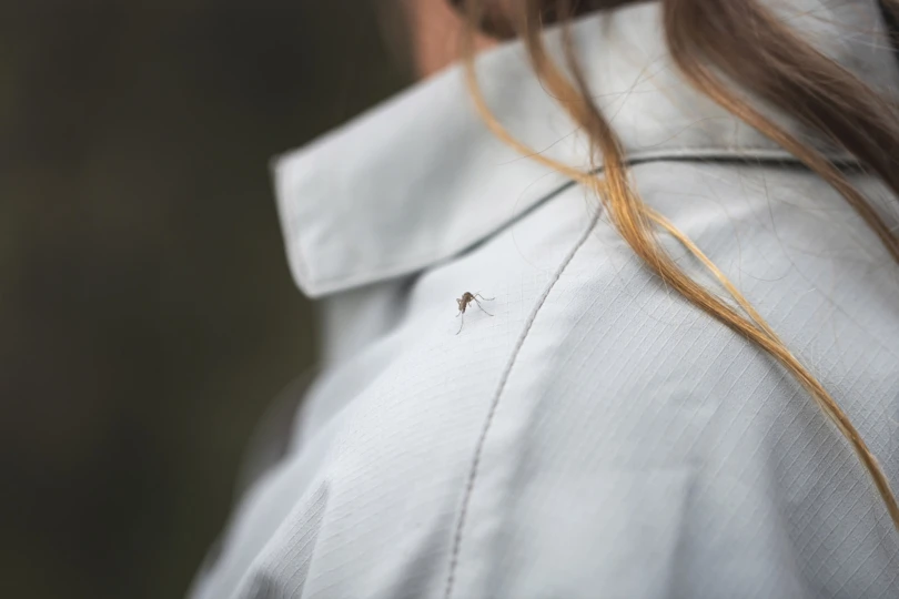 royal robbins mosquito shirt